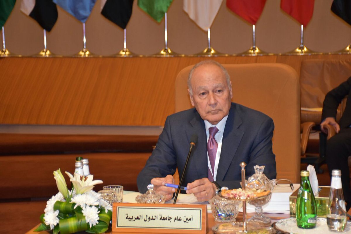 الدول العربية